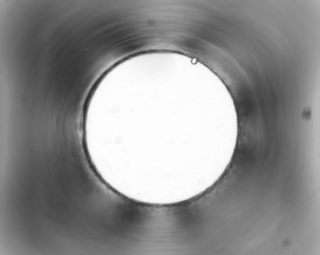 X0000103931084200809191344