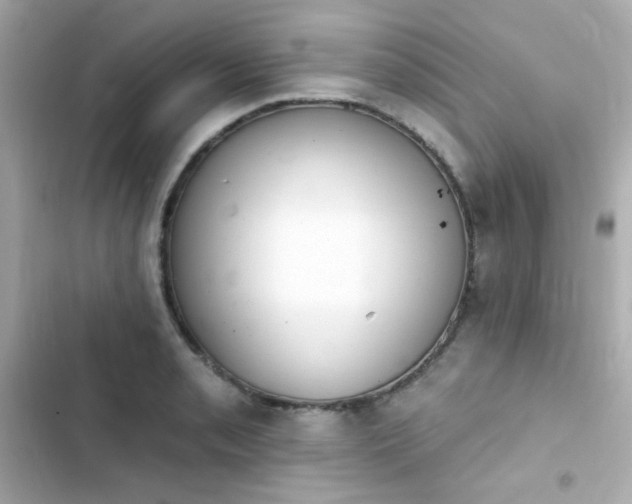 X0000103931085200809191344