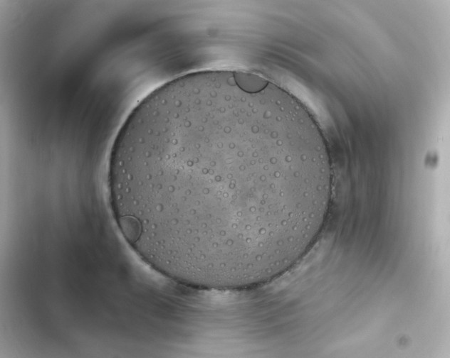 X0000103931087200809191344