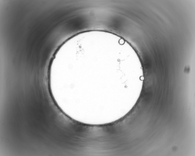 X0000103931088200809191344