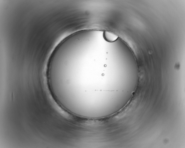 X0000103931091200809191344