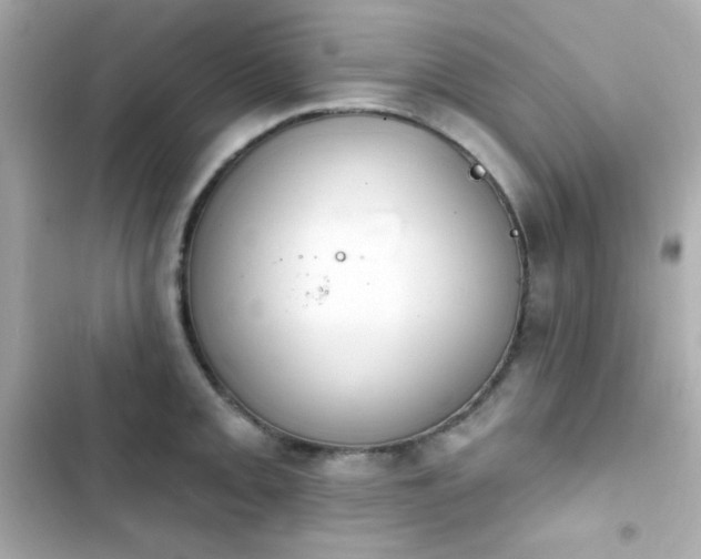 X0000103931093200809191344