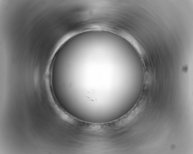 X0000103931098200809191344