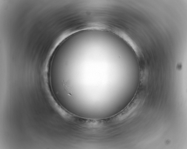X0000103931099200809191344