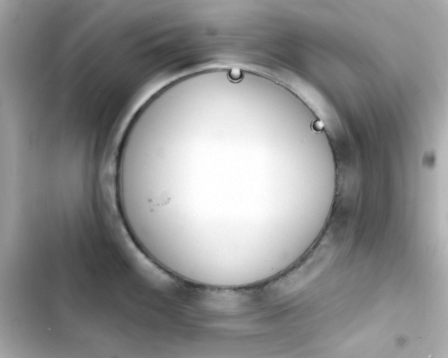 X0000103931100200809191344