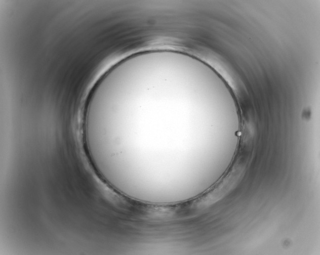 X0000103931101200809191344