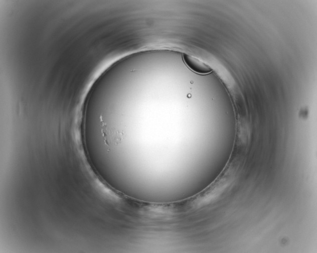 X0000103931102200809191344
