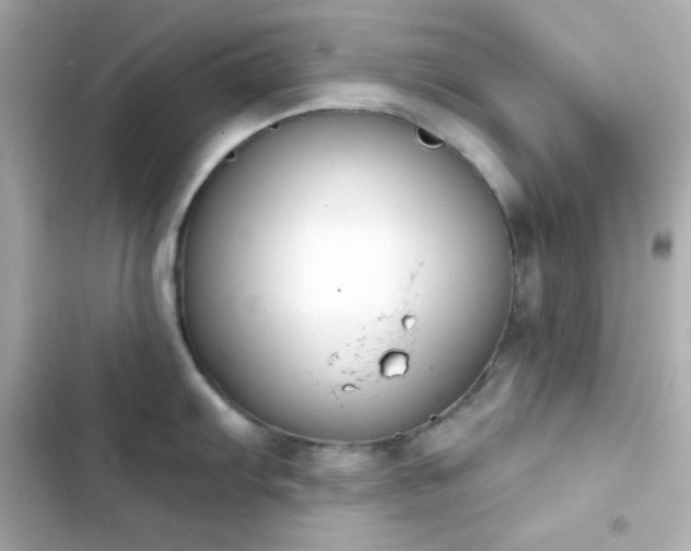 X0000103931103200809191344
