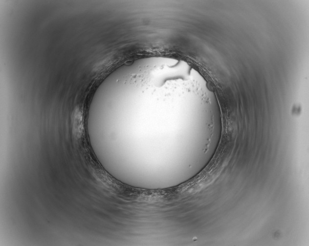 X0000103931106200809191343