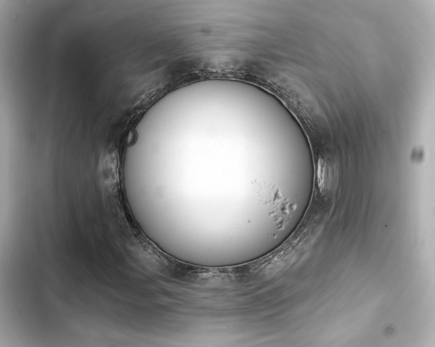 X0000103931107200809191343
