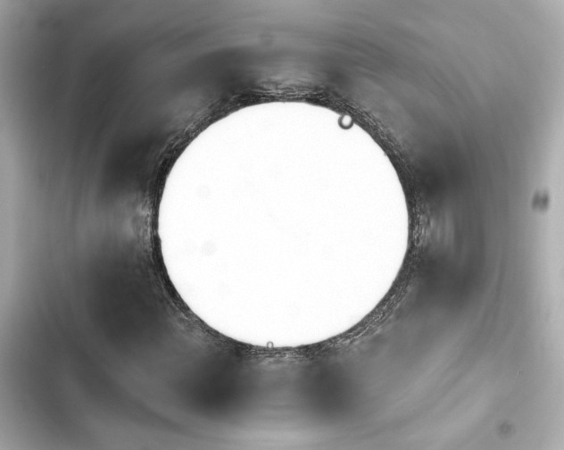 X0000103931108200809191343