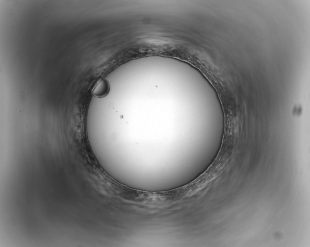 X0000103931109200809191343