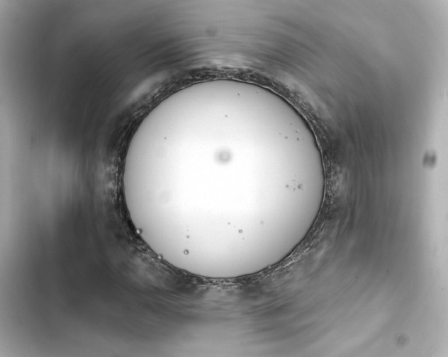 X0000103931110200809191343