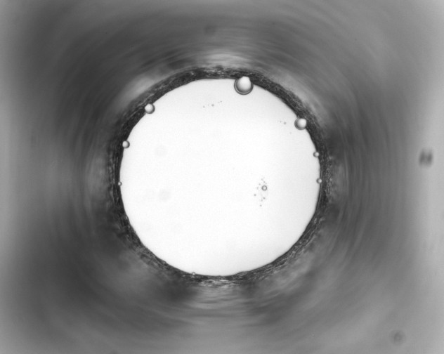 X0000103931112200809191343