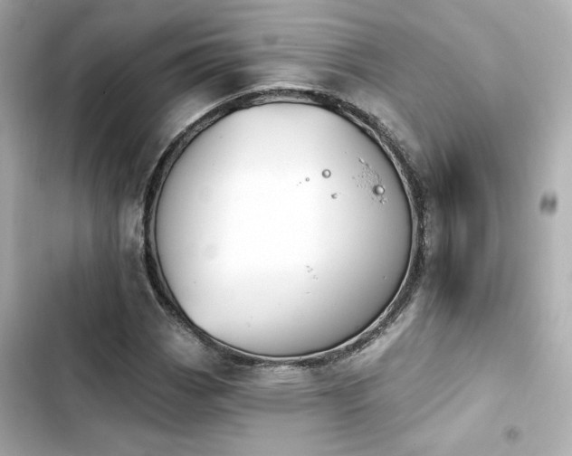 X0000103931113200809191343