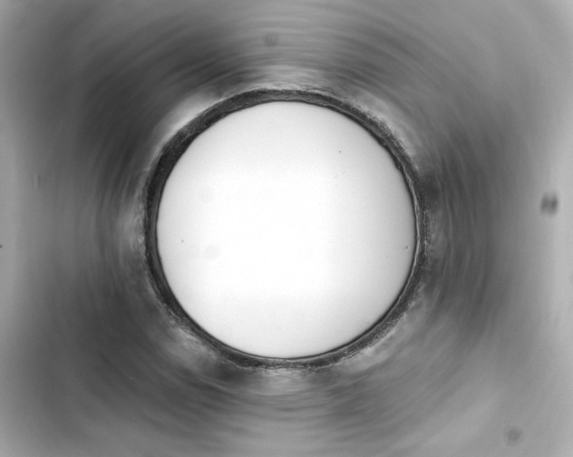 X0000103931114200809191343