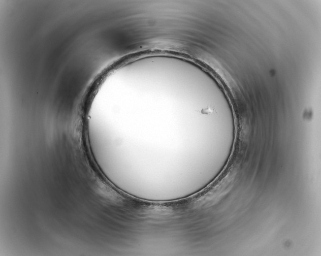 X0000103931115200809191343