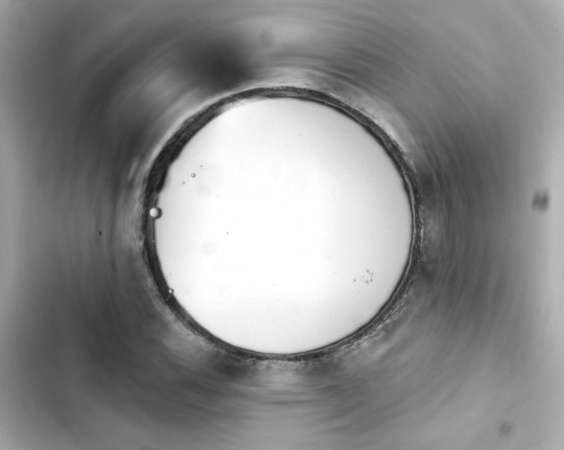 X0000103931116200809191343