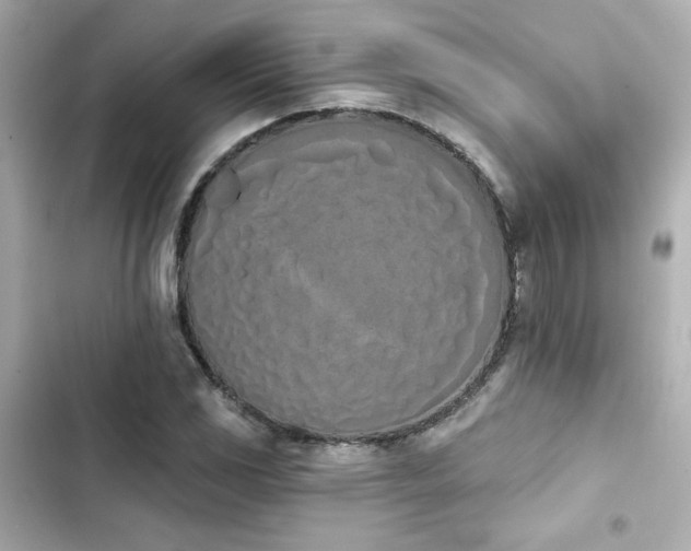 X0000103931117200809191343