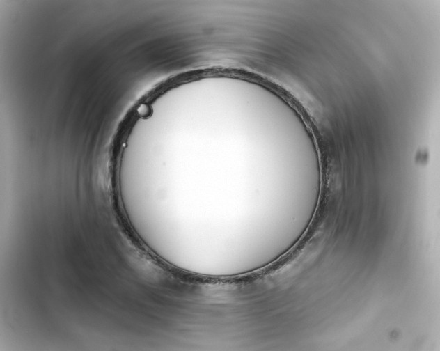 X0000103931118200809191343