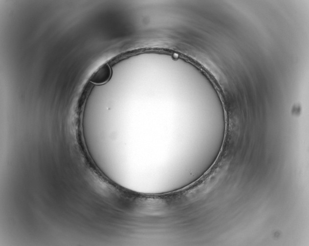 X0000103931119200809191343