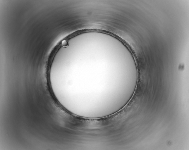 X0000103931120200809191343