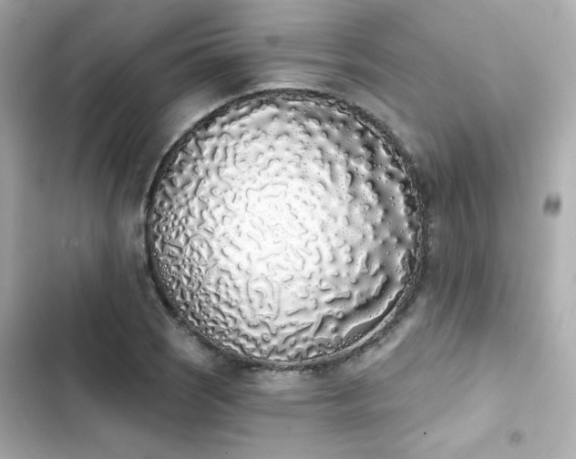 X0000103931121200809191343