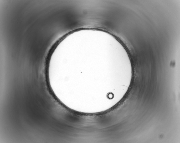 X0000103931122200809191343