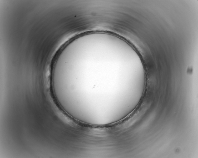 X0000103931126200809191343