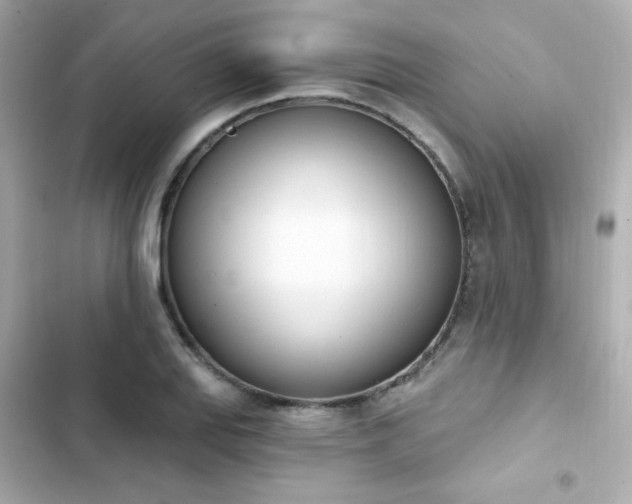 X0000103931127200809191343