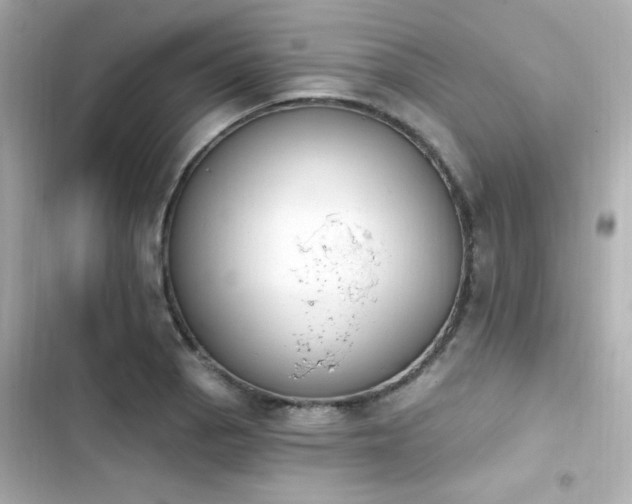 X0000103931129200809191343