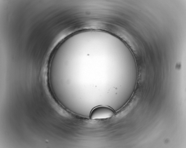 X0000103931130200809191344