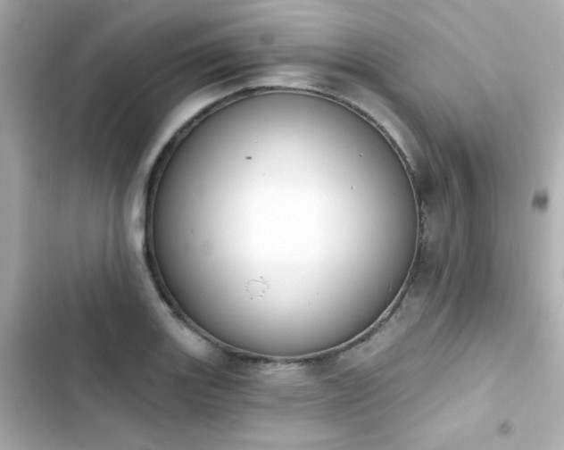 X0000103931131200809191344