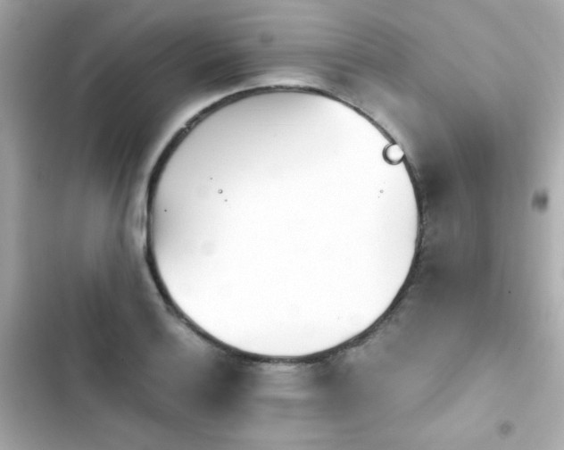 X0000103931132200809191344