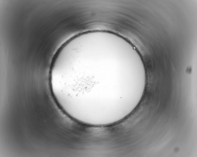 X0000103931134200809191344