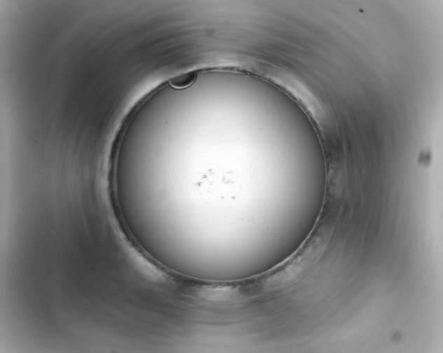 X0000103931135200809191344