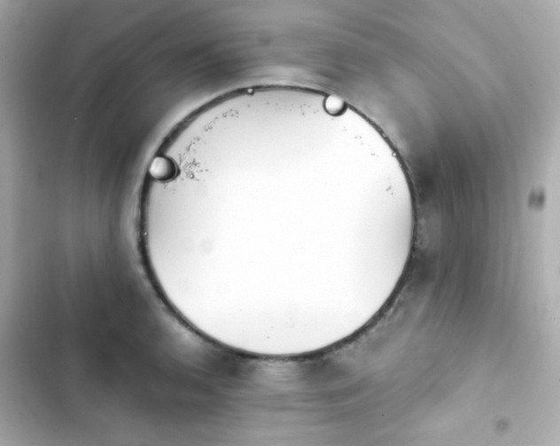 X0000103931136200809191344