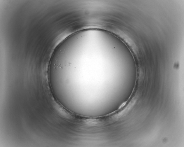 X0000103931137200809191344