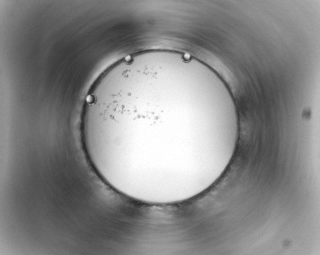 X0000103931138200809191344