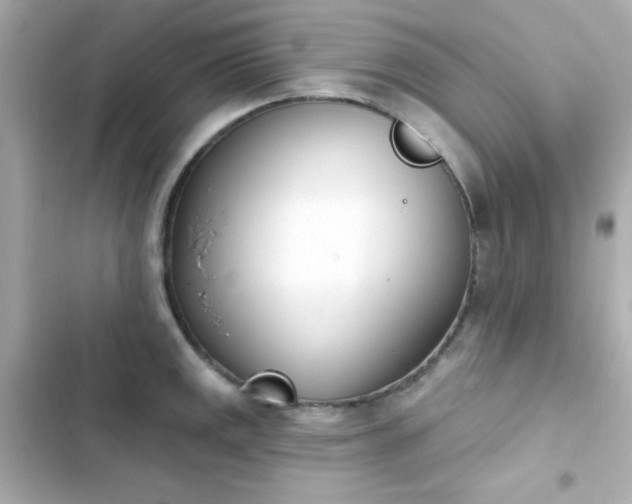 X0000103931141200809191344