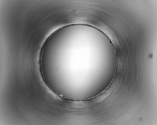 X0000103931142200809191344