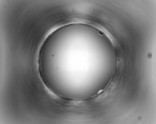 X0000103931143200809191344