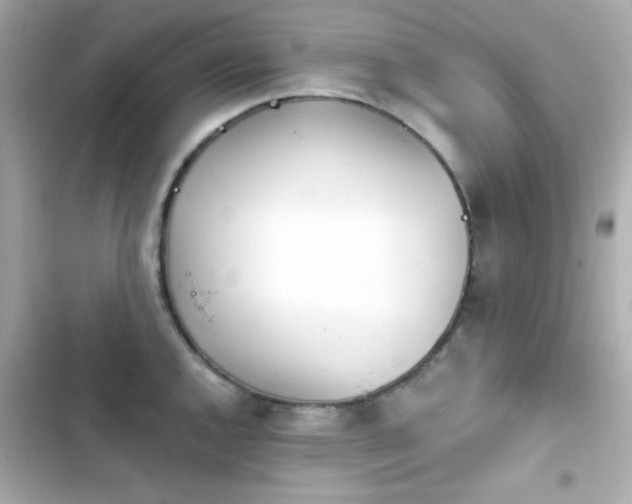 X0000103931144200809191344