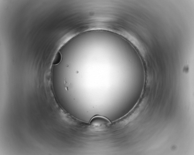 X0000103931145200809191344
