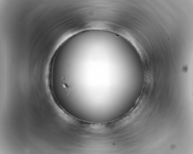 X0000103931147200809191344