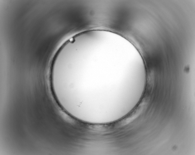 X0000103931149200809191344