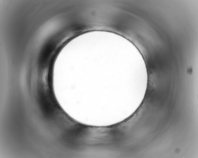 X0000103931150200809191344