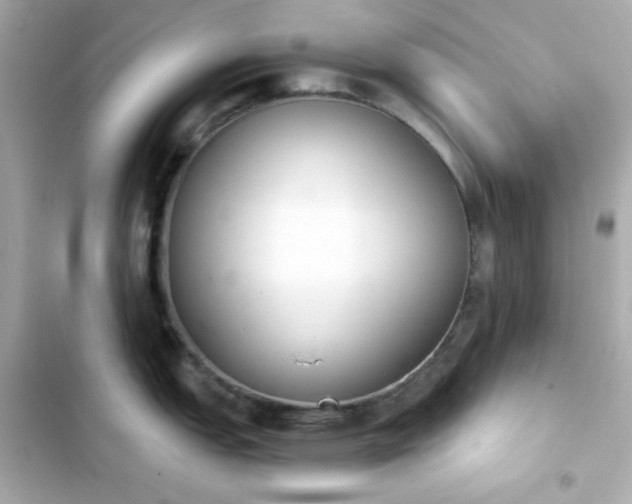 X0000103931151200809191344