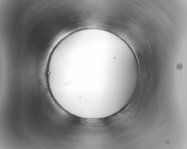 X0000103931152200809191344