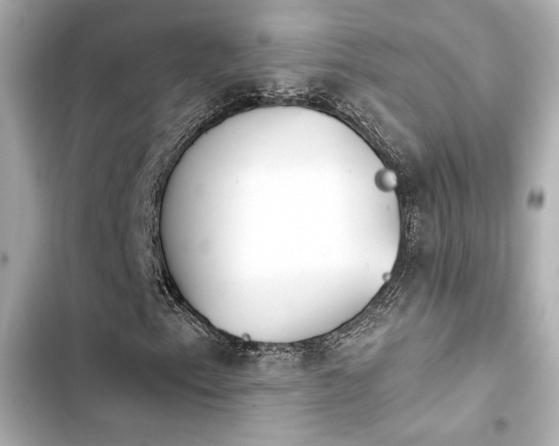 X0000103931153200809191343